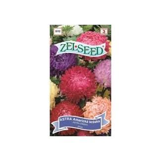 SEM.KVET ASTRA AMERICKA KRASKA 10KS