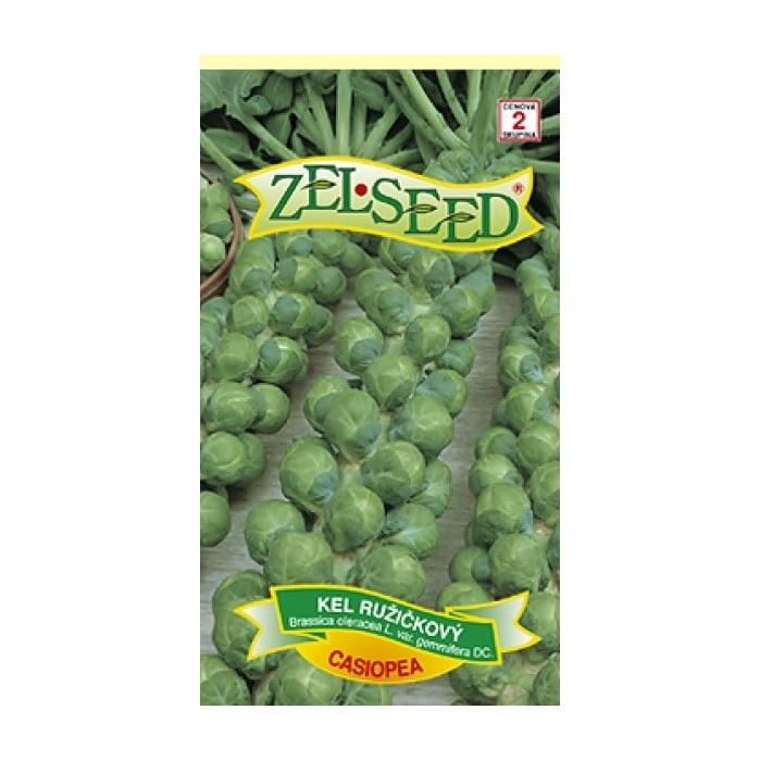 SEM.KEL RUZICKOVY CASIOPEA 10KS