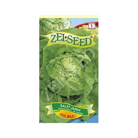 SEM.SALAT JARNY KRAL MAJA I. 10KS