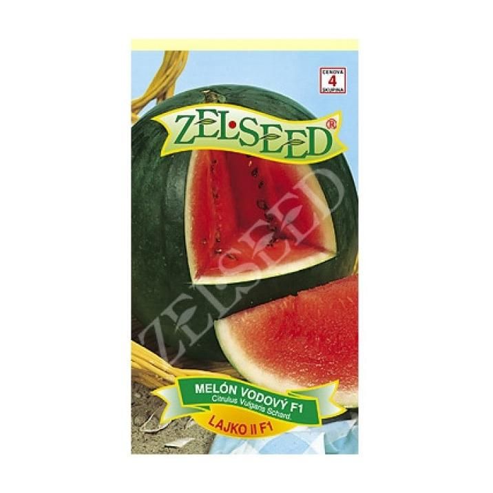 SEM.MELON VODOVY LAJKO II F1 10KS