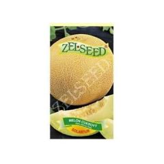 SEM.MELON CUKROVY SOLARTUR 10KS